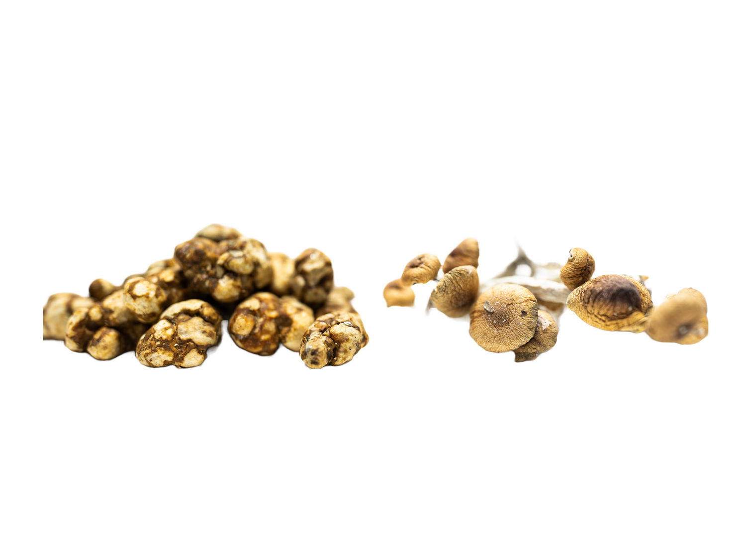 Magic Truffles