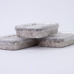3x Small Grow Kit