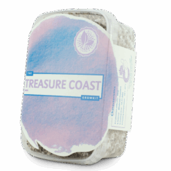 Treasure Coast
