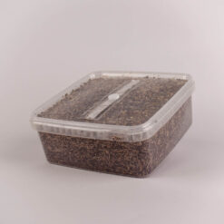 Sterilised Substrate