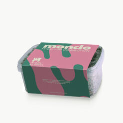 Avery's Albino - Magic Mushroom Grow Kit