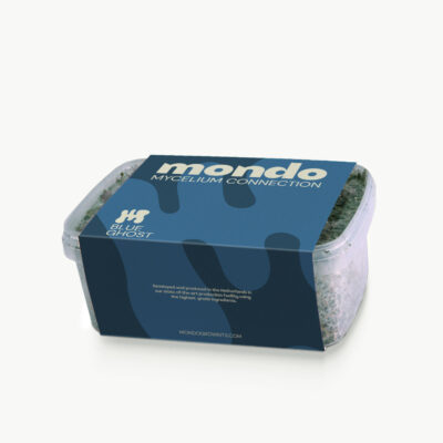 Inicio 23 Blue Ghost - Kit de cultivo de setas mágicas