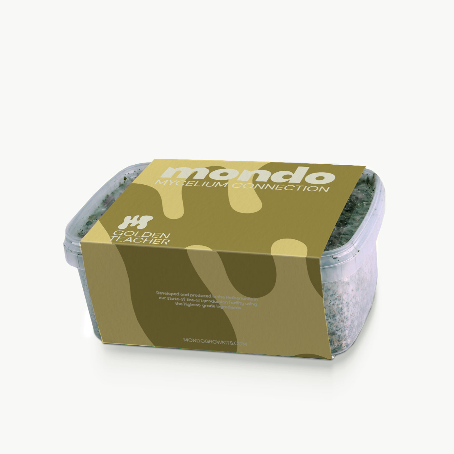 Gouden leraar 3 Golden Teacher