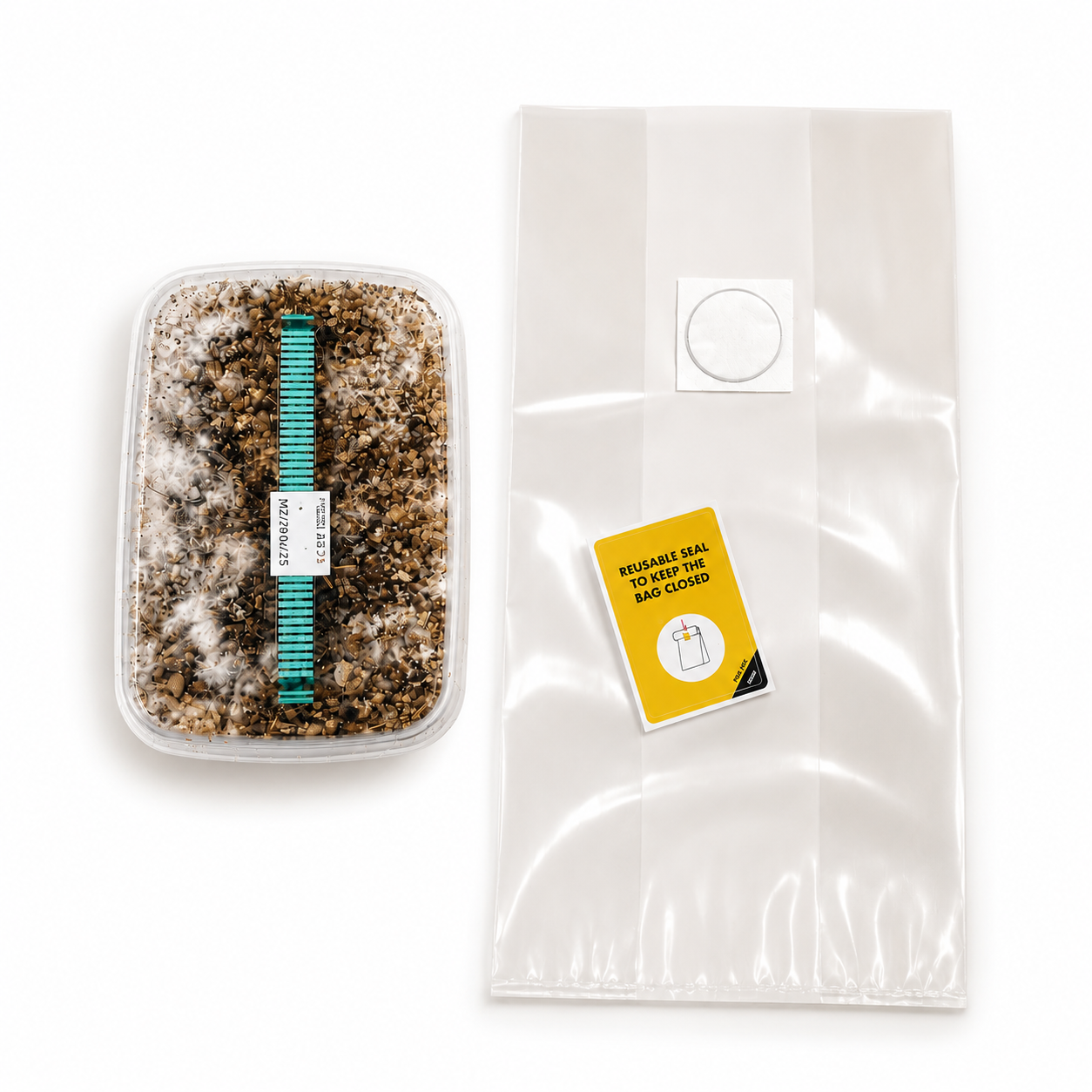 Golden Teacher - Kit de Cultivo de Champiñón Mágico | Mondo Growkits #! Trpst#trp-gettext data-trpgettextoriginal=4718#! Trpen#golden teacher - kit de cultivo de setas alucinógenas - imagen 2#! Trpst#/trp-gettext#! Trpen#