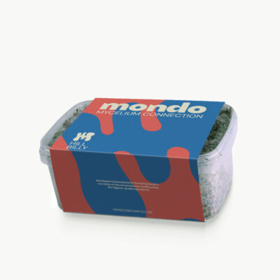 Inicio 21 Hillbilly Pumkin' - Kit de cultivo de setas mágicas