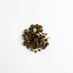 Alternative view of Mexicana