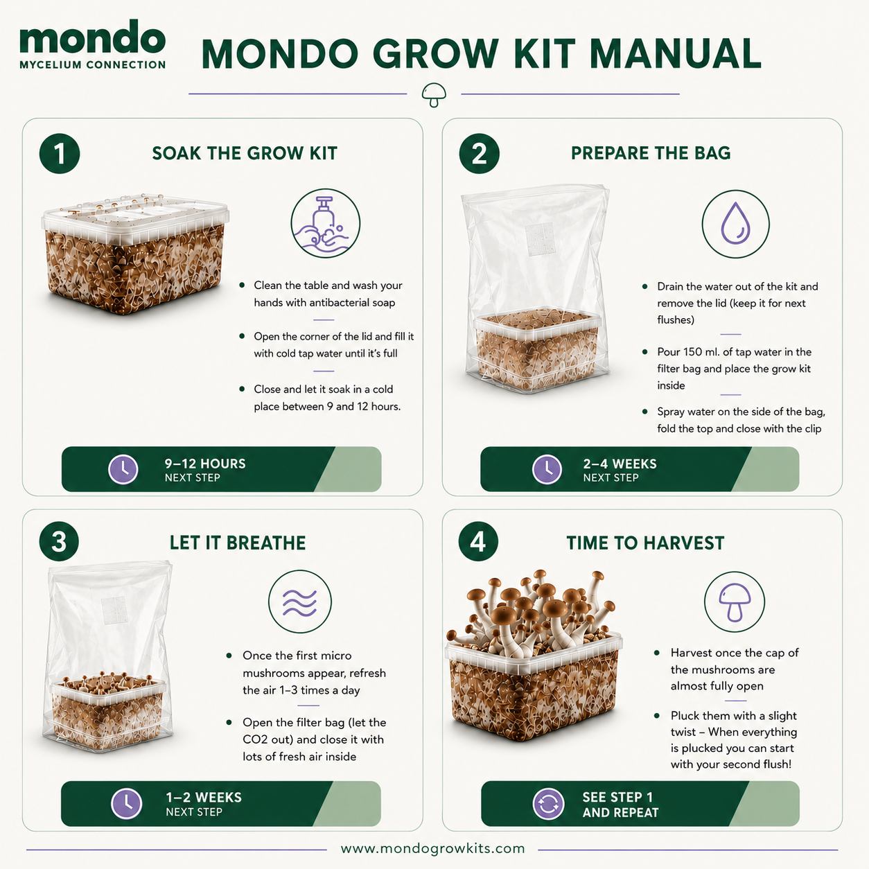 Golden Teacher - Kit de Cultivo de Champiñón Mágico | Mondo Growkits Manual del kit de cultivo de setas alucinógenas Mondo