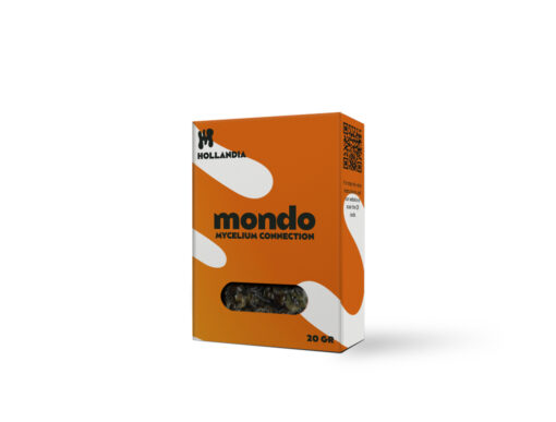 Hollandia