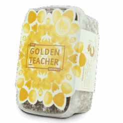 Golden Teacher