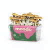 Mexicana - Kit de culture de champignons magiques | Mondo Growkits Mexicana - kit de culture de champignons magiques
