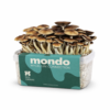 Pes Hawaii - Kit de culture de champignons magiques | Mondo Growkits Pes hawaii - kit de culture de champignons magiques