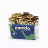 Thai - Kit de culture de champignons magiques | Mondo Growkits Thai - kit de culture de champignons magiques