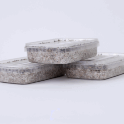 BULK DEAL Small