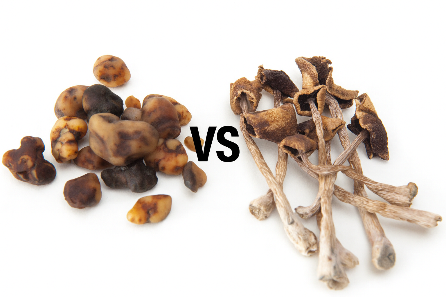 trufas mágicas vs setas mágicas