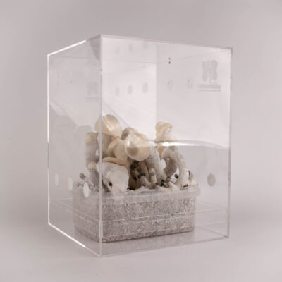 Inicio 47 Paquete sencillo