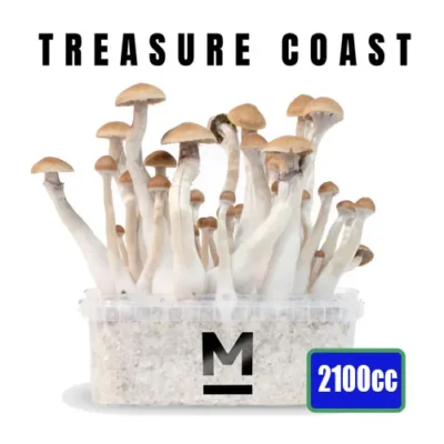 Treasure Coast Mushrooms