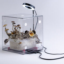 Pacchetto Mondotub Pro