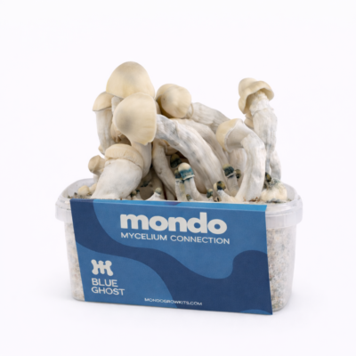 Blue Ghost - Magic Mushroom Grow Kit