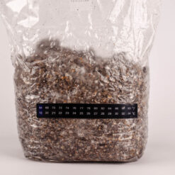 Zelfklevende thermometerstrip