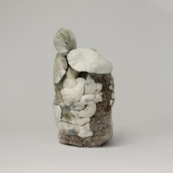 Jack Frost - Magic Mushroom Growbag