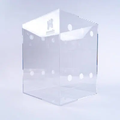 Seitliche Pins bei Pilzen: Warum sie entstehen und was zu tun ist Mondotub - Magic Mushroom Growbox