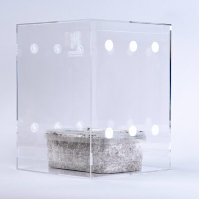 Vista alternativa de Mondotub Simple Bundle - Magic Mushroom Grow Box