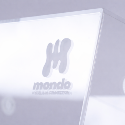 Mondotub - Caja de cultivo de setas mágicas