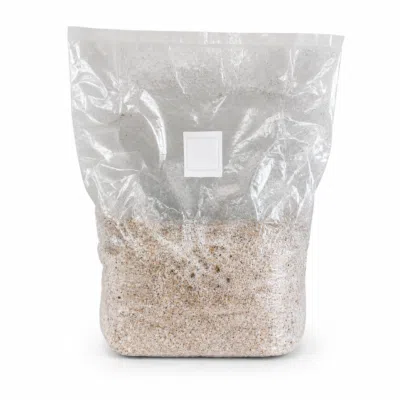 Come utilizzare una bustina di funghi allucinogeni pronta per la coltivazione: guida completa Sacchetto per la coltivazione di funghi allucinogeni