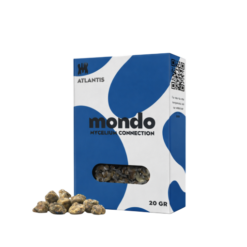 Atlantis - Truffes magiques