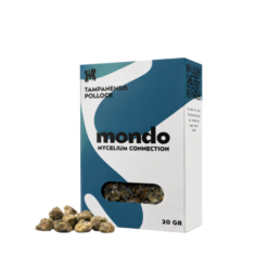 Tampanensis - Truffes magiques