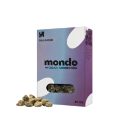 Galindoi - Truffes magiques