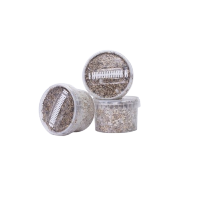 Odlingssats - Bulk Deal - XS