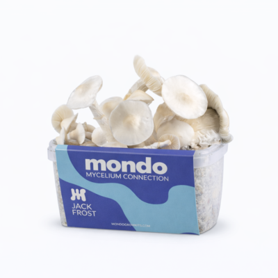Jack Frost - Magic Mushroom Grow Kit