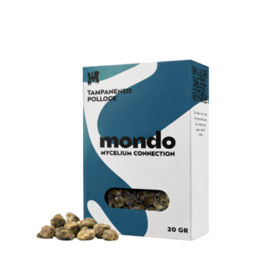 Home | Mondo Growkit Tampanensis - tartufi magici
