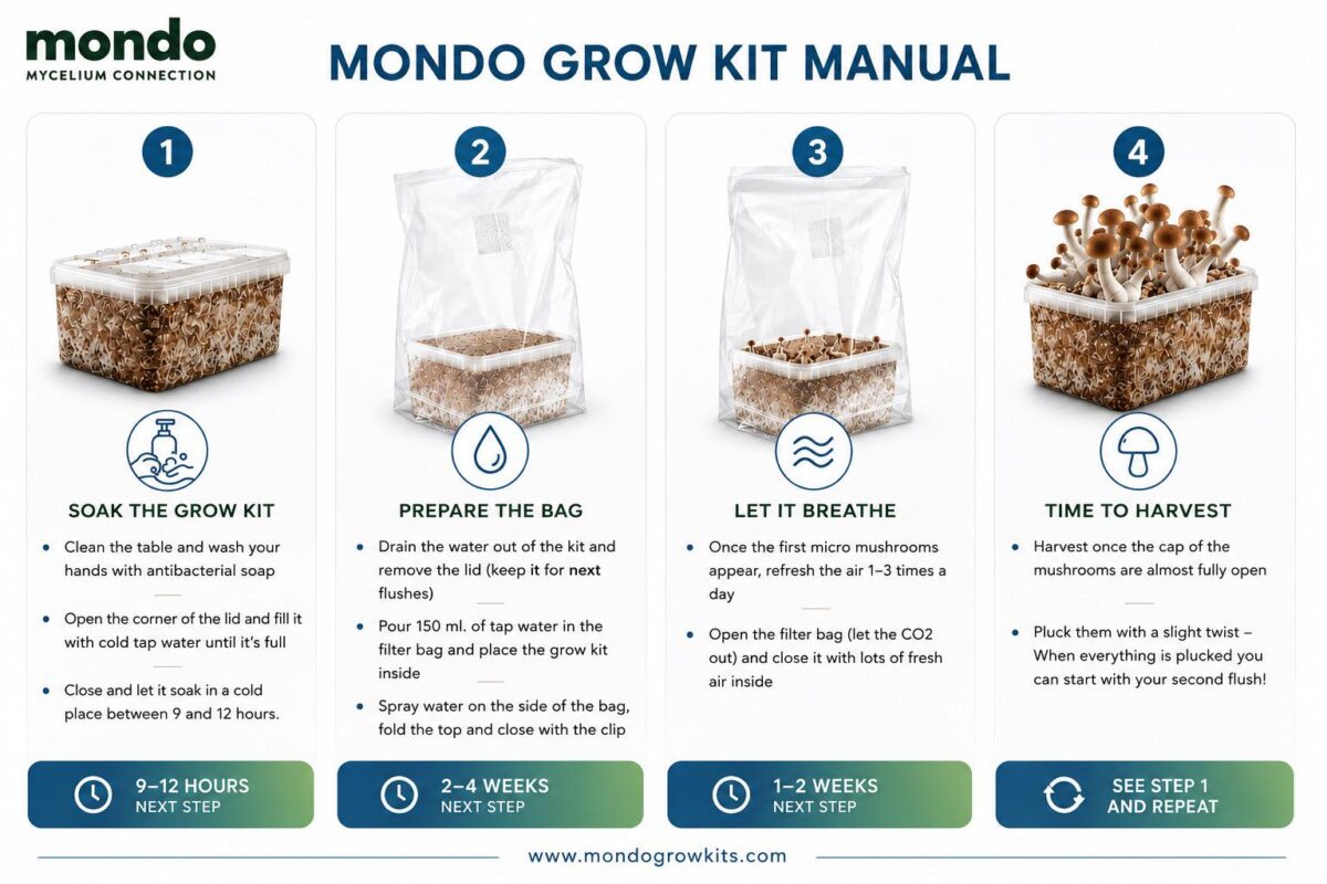 Mondo grow kit manual step by step