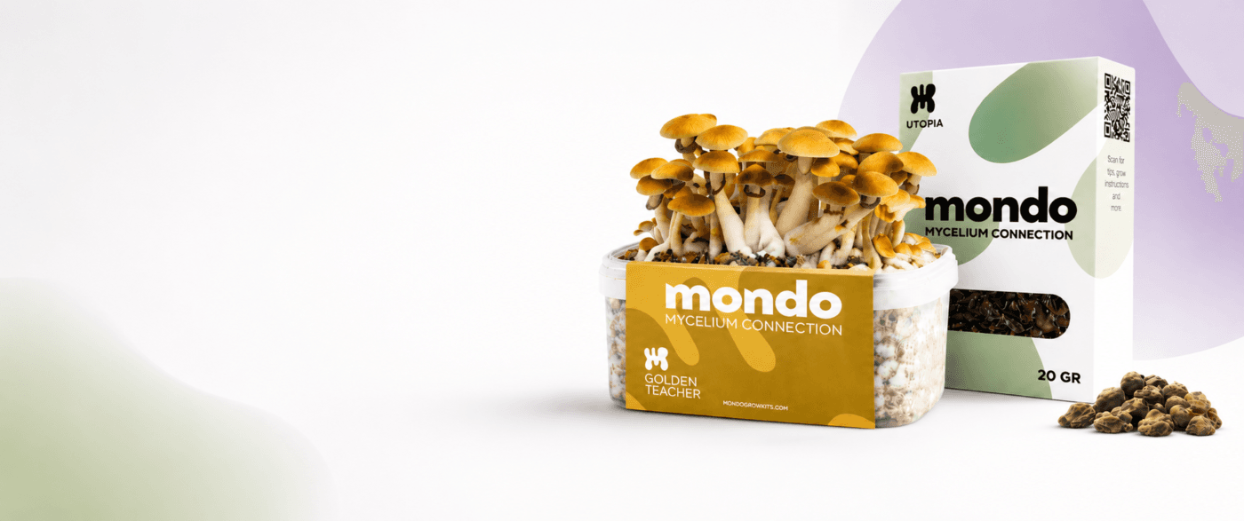 Home Mondo growkits hero banner