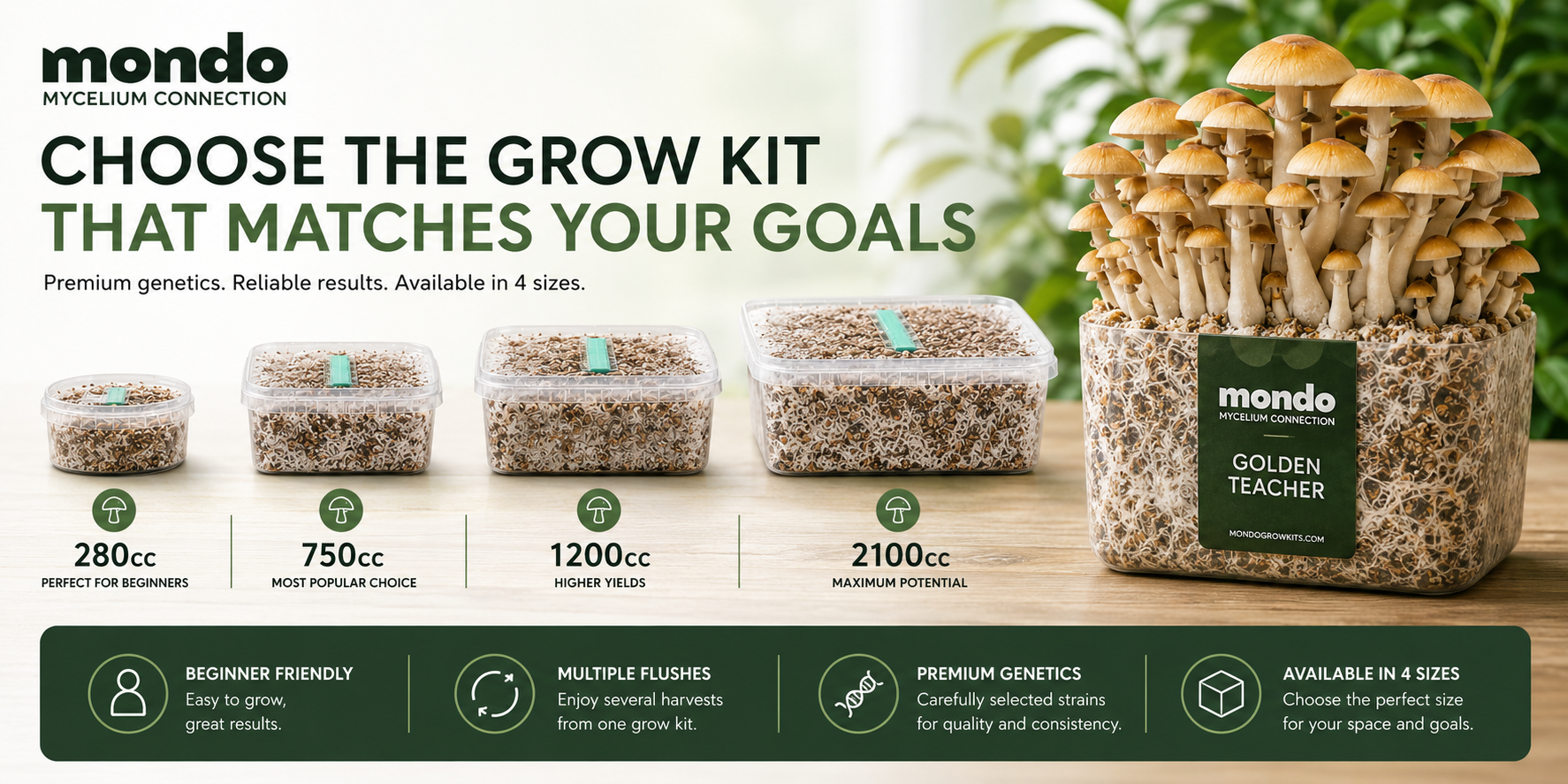 Comment choisir le bon kit de culture de champignons magiques Choisissez le kit de culture de champignons magiques Mondo qui vous convient