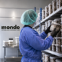 Max | Mondo Mycelium Connection